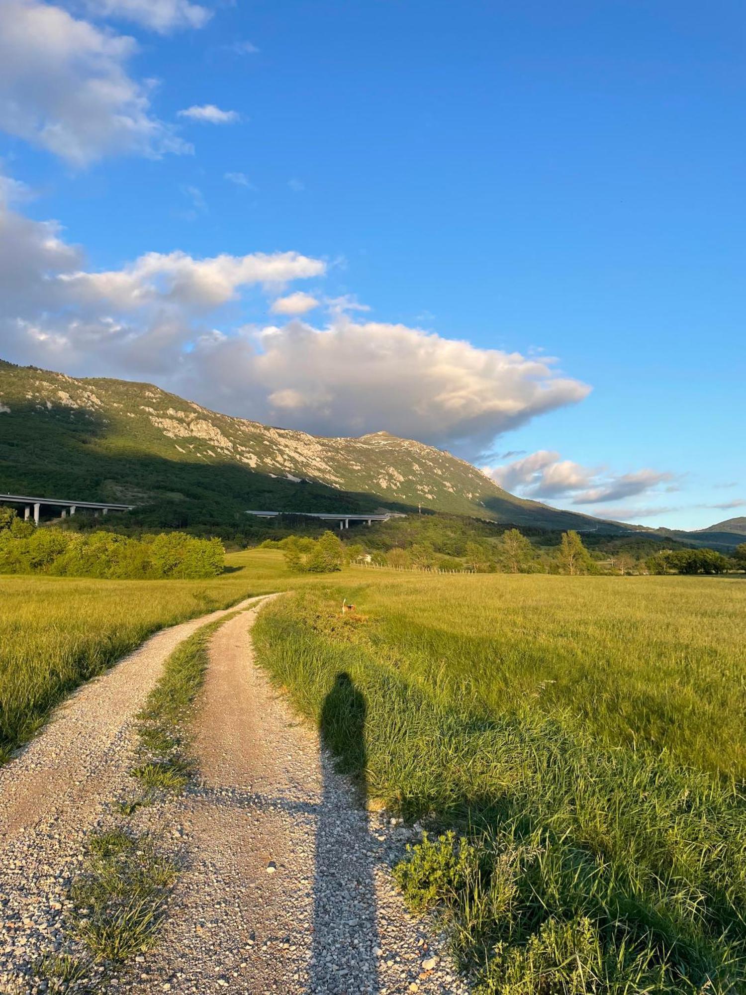 Homestead - Domacija - Nabergoj Podnanos Экстерьер фото