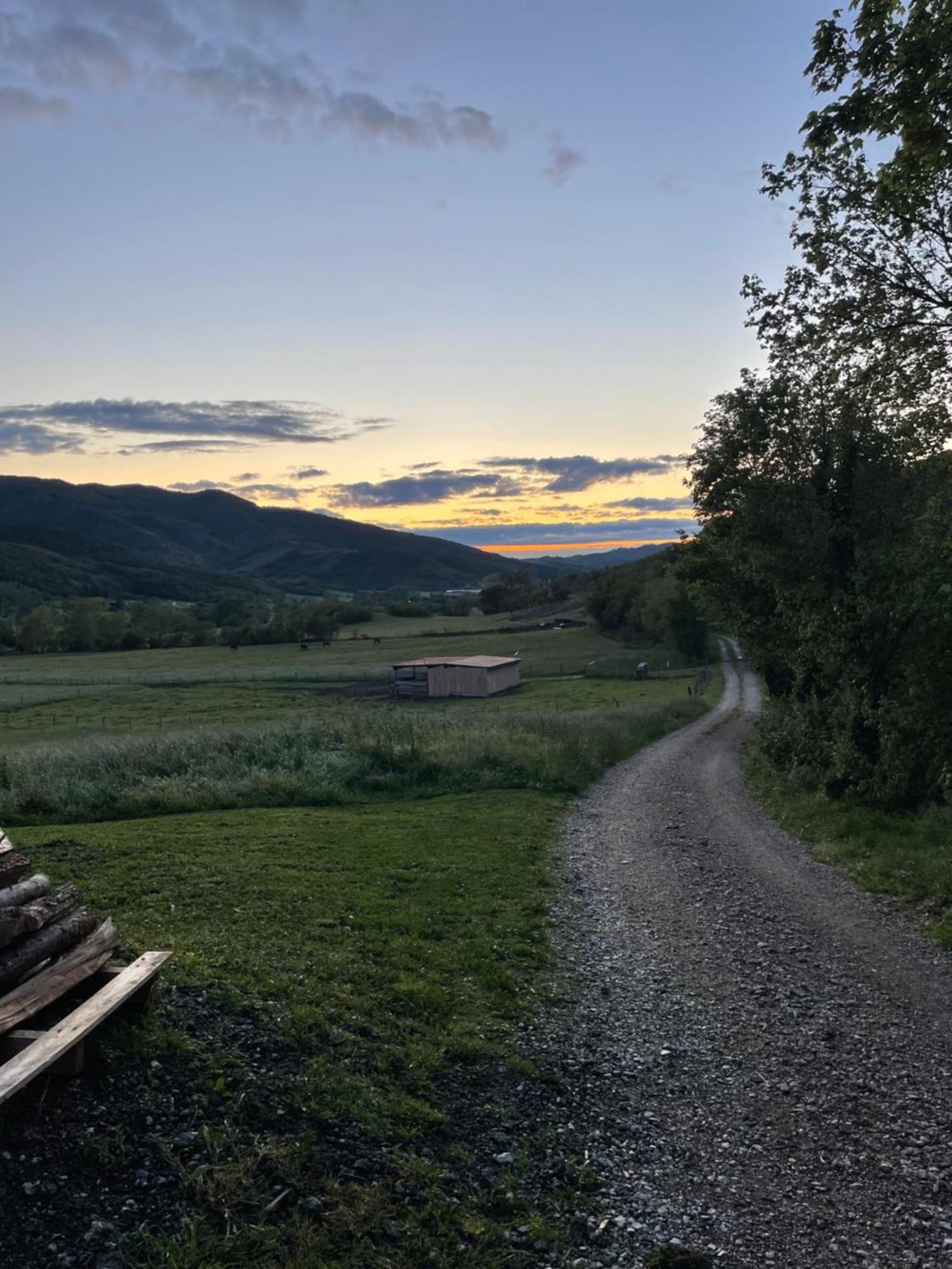 Homestead - Domacija - Nabergoj Podnanos Экстерьер фото