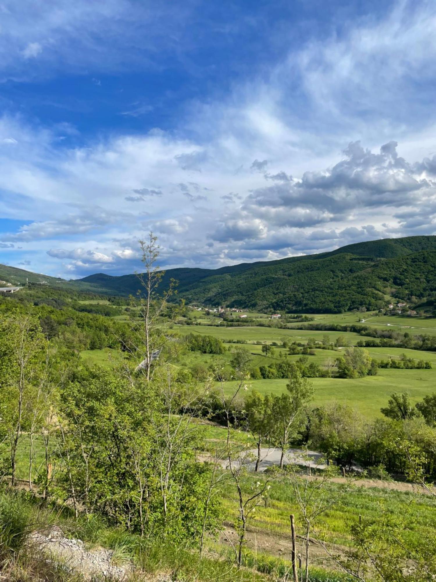 Homestead - Domacija - Nabergoj Podnanos Экстерьер фото